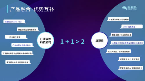 极智产品融合 极视角罗韵解读「行业+AI」融合创新的实操手册